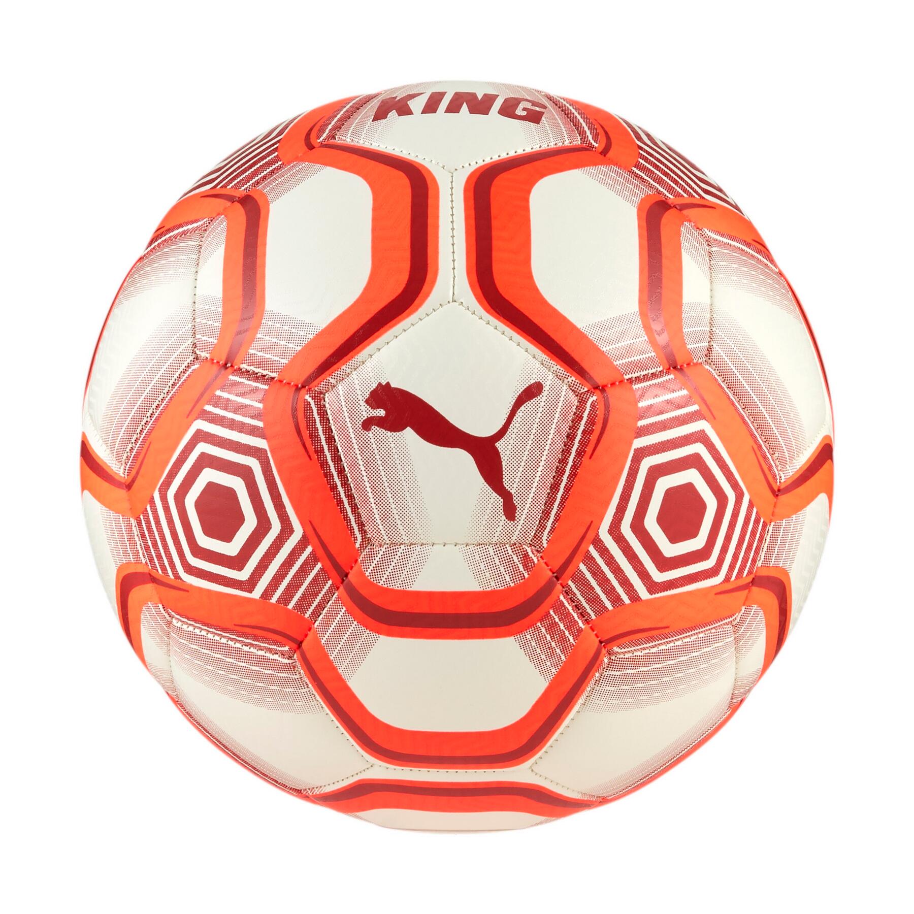 PUMA picture
