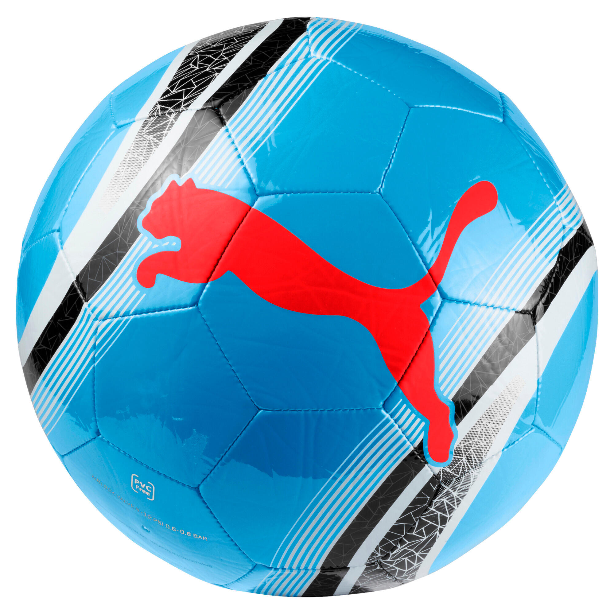 PUMA picture