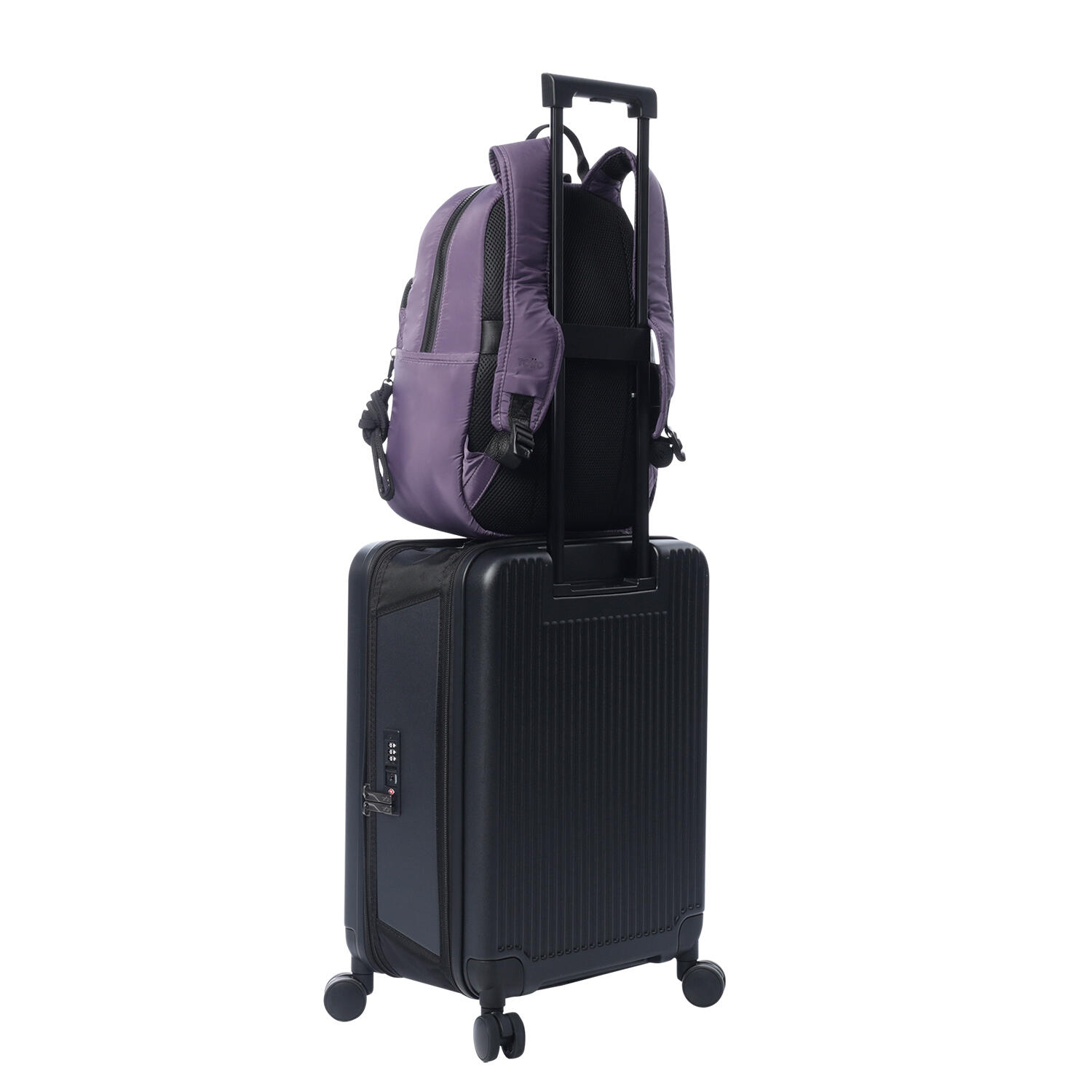 Totto Mochila urbana Arlyn Montana Grape Poliéster 29 x 40 x 14 cm 5/5