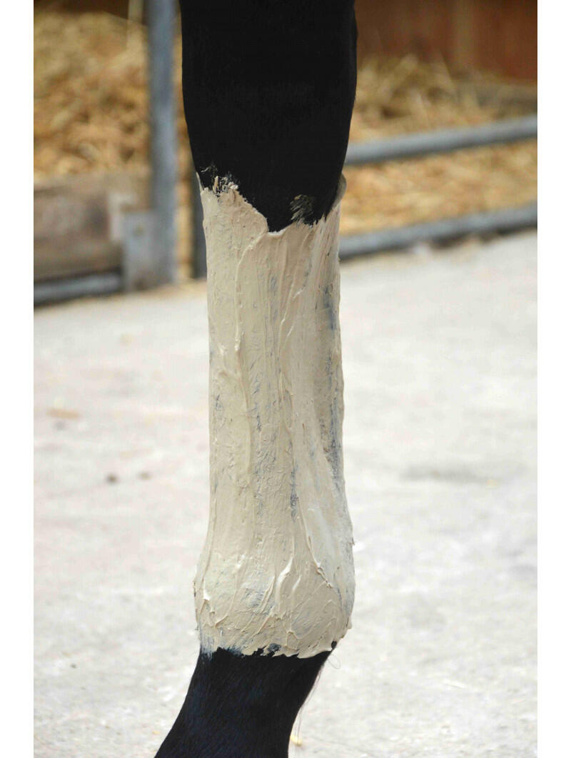 Pâte d'argile Soulage Douleur- Coup-Contusion 3/4