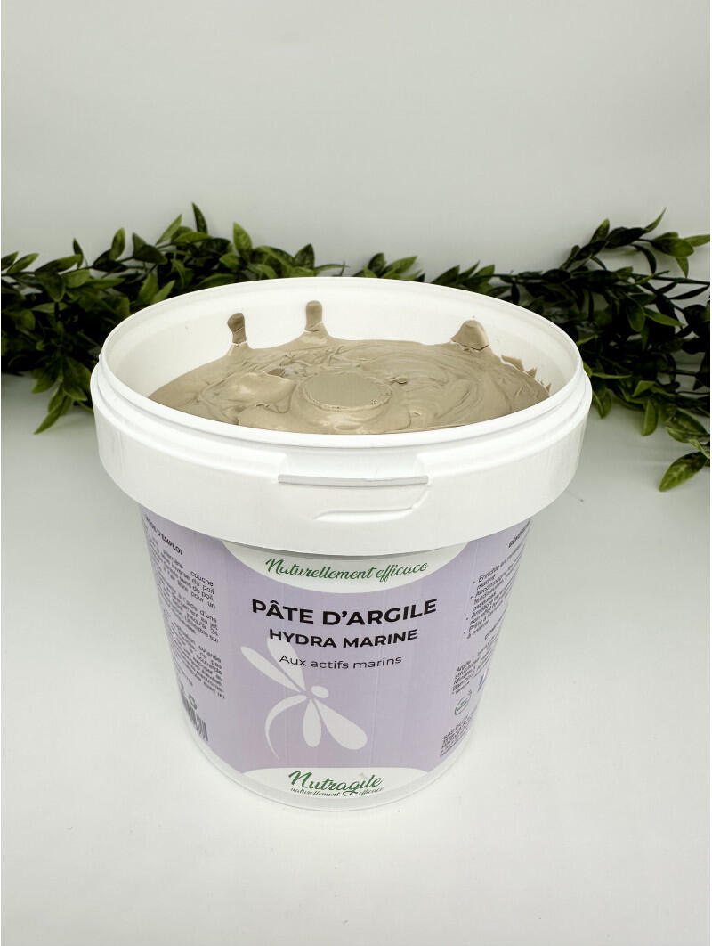 Pâte d'argile Hydra Marine 2/4
