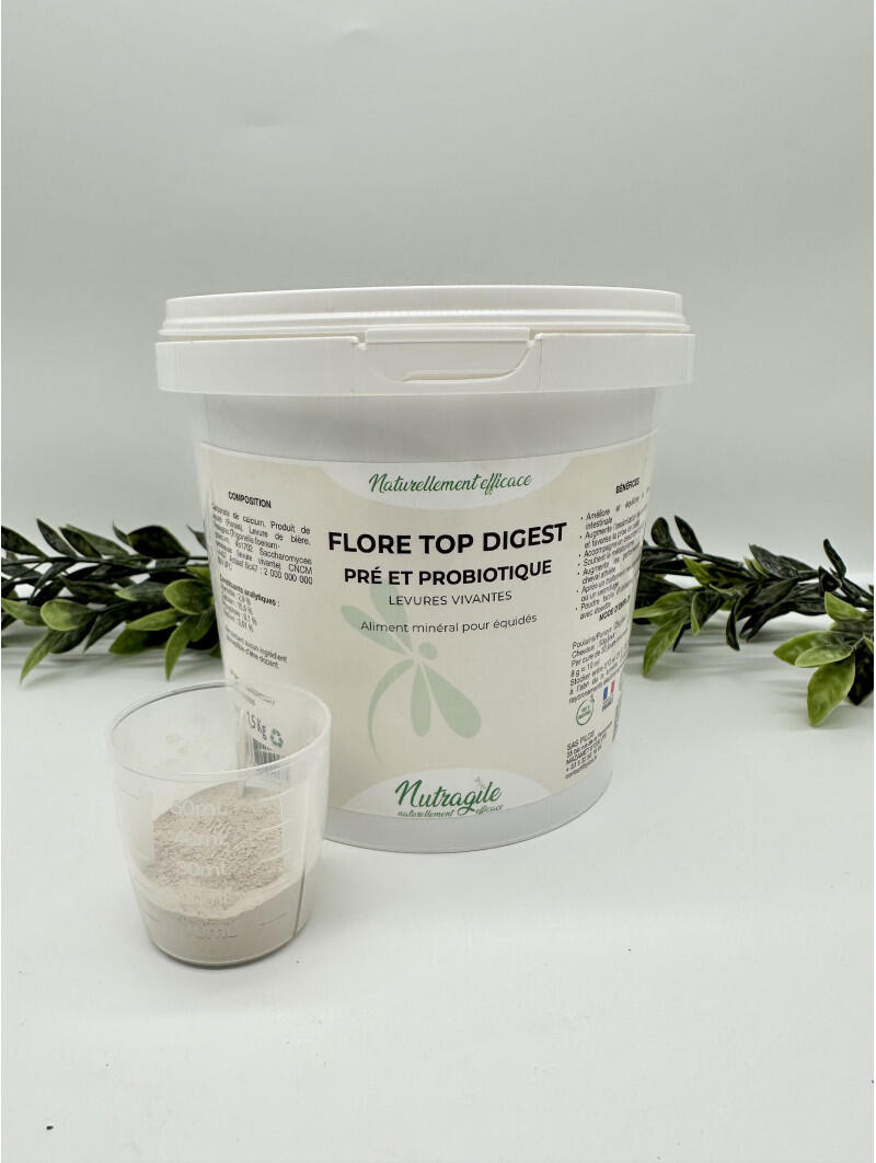 Flore Top Digest 2/2