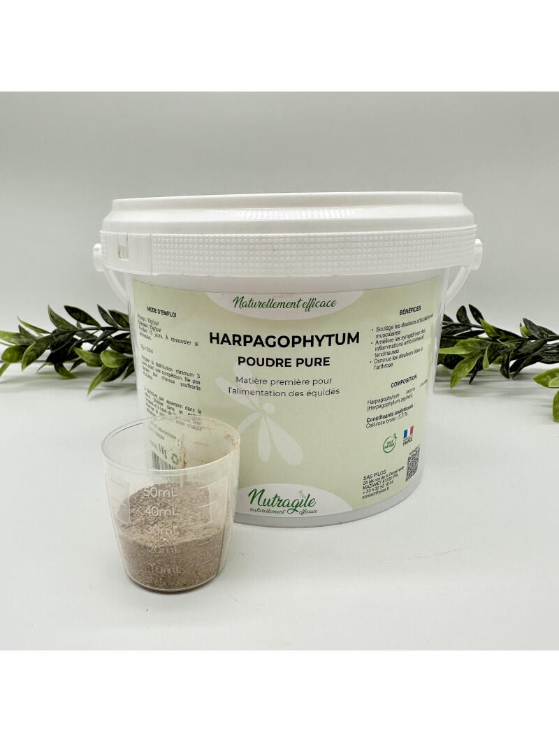 Harpagophytum Poudre 2/2