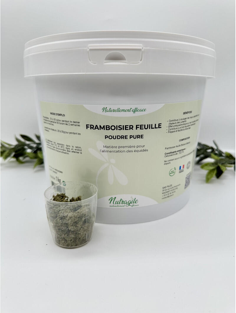 Framboisier 2/2
