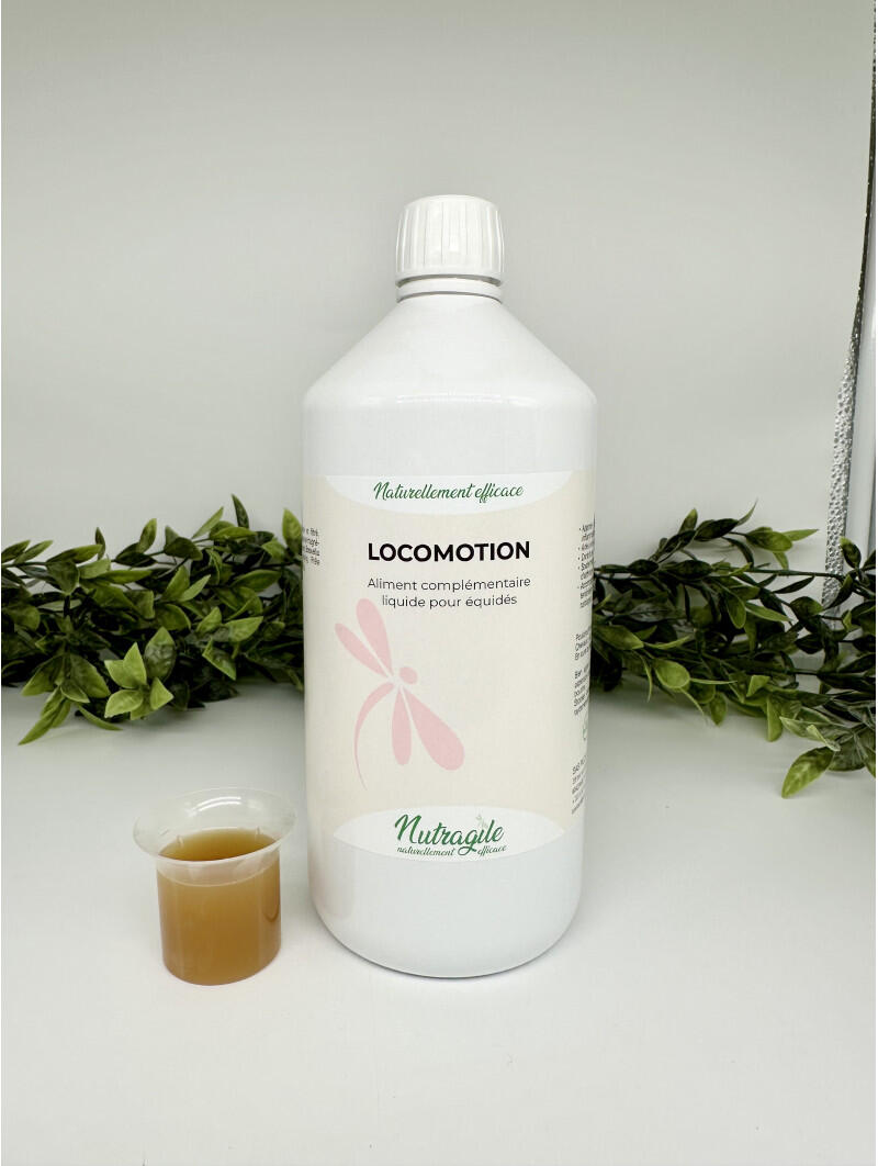 Locomotion Liquide 2/3