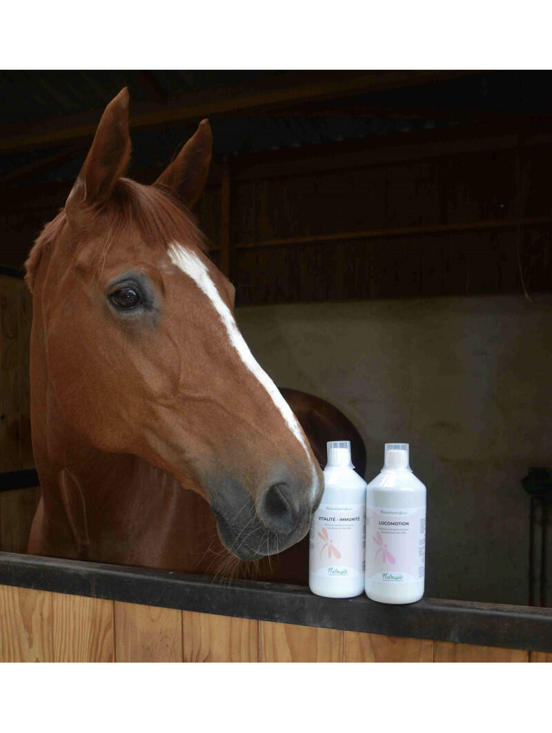 Vitalité Immunité Liquide 3/3