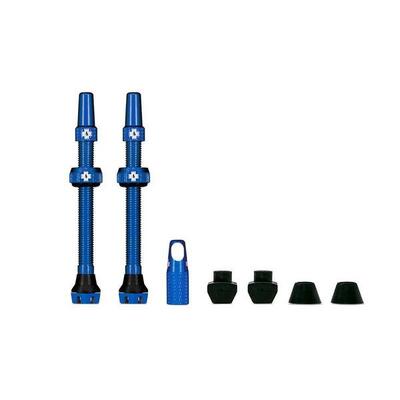 Valvole V2 per pneumatici tubeless - chiazza d'olio - MTB & Road