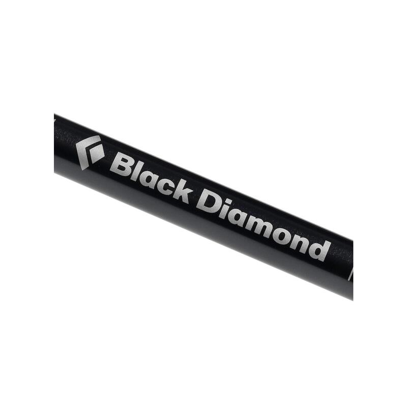 Kije trekkingowe Black Diamond Trail Explorer 2