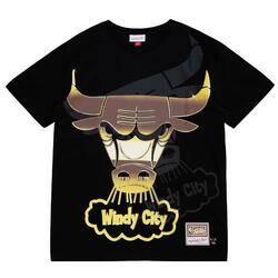 T-shirt col rond Chicago Bulls