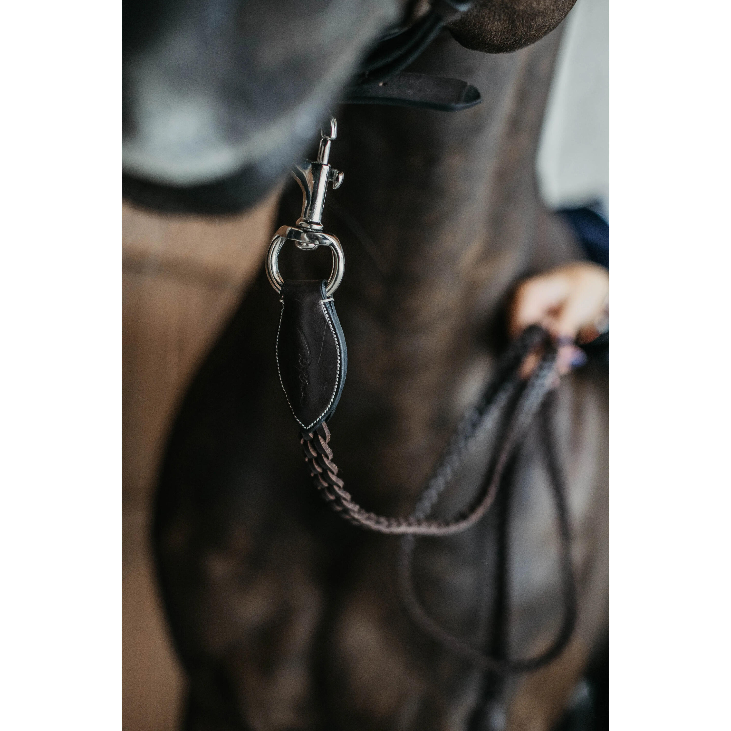 Longe équitation tressée Dy'on 4/4