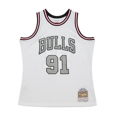 Nba-shirt chicago bulls dennis rodman