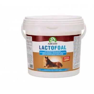 AUDEVARD Voedingssupplement voor jonge paarden Audevard Lactofoal