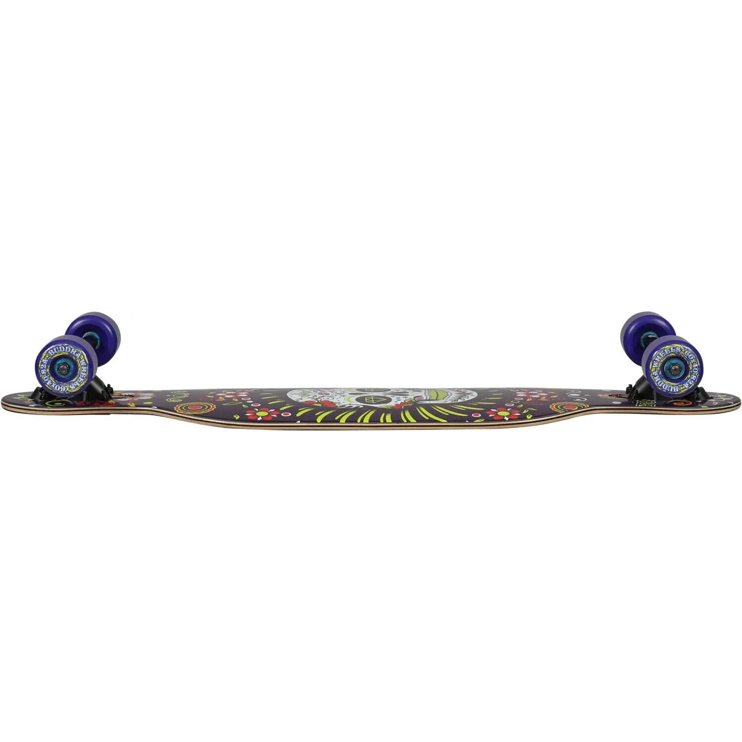 Skateboard Hydroponic DT 3/3
