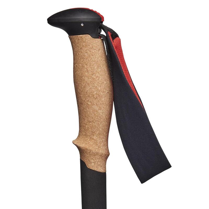 Kije trekkingowe Black Diamond Pursuit Trekking Poles S/M