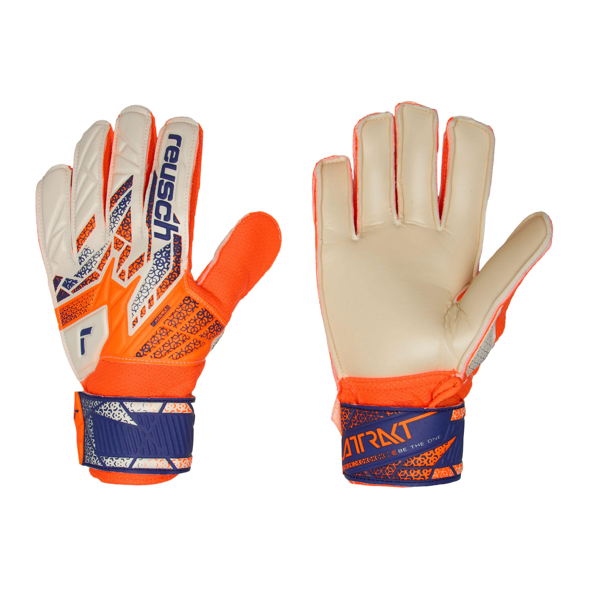 REUSCH picture