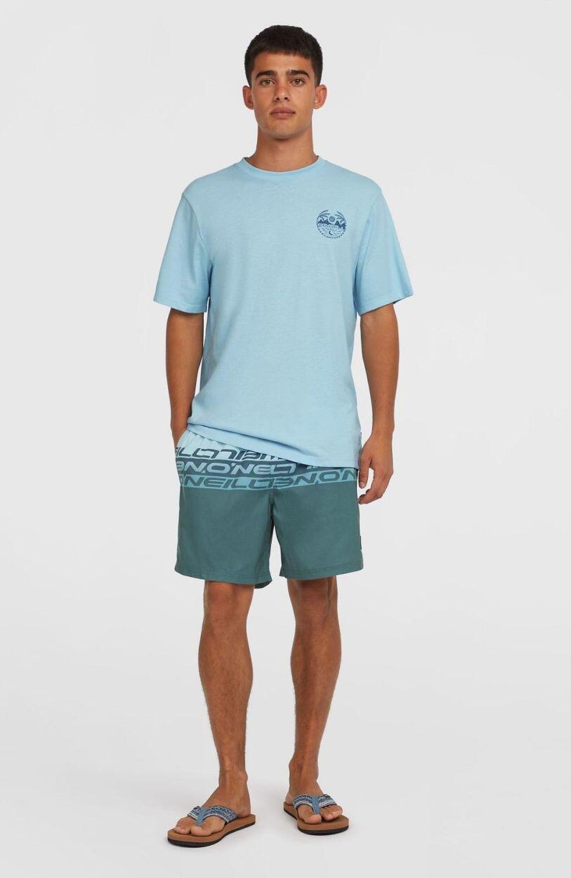 Szorty plażowe męskie O'Neill Cali Stripe 16'' 4/7