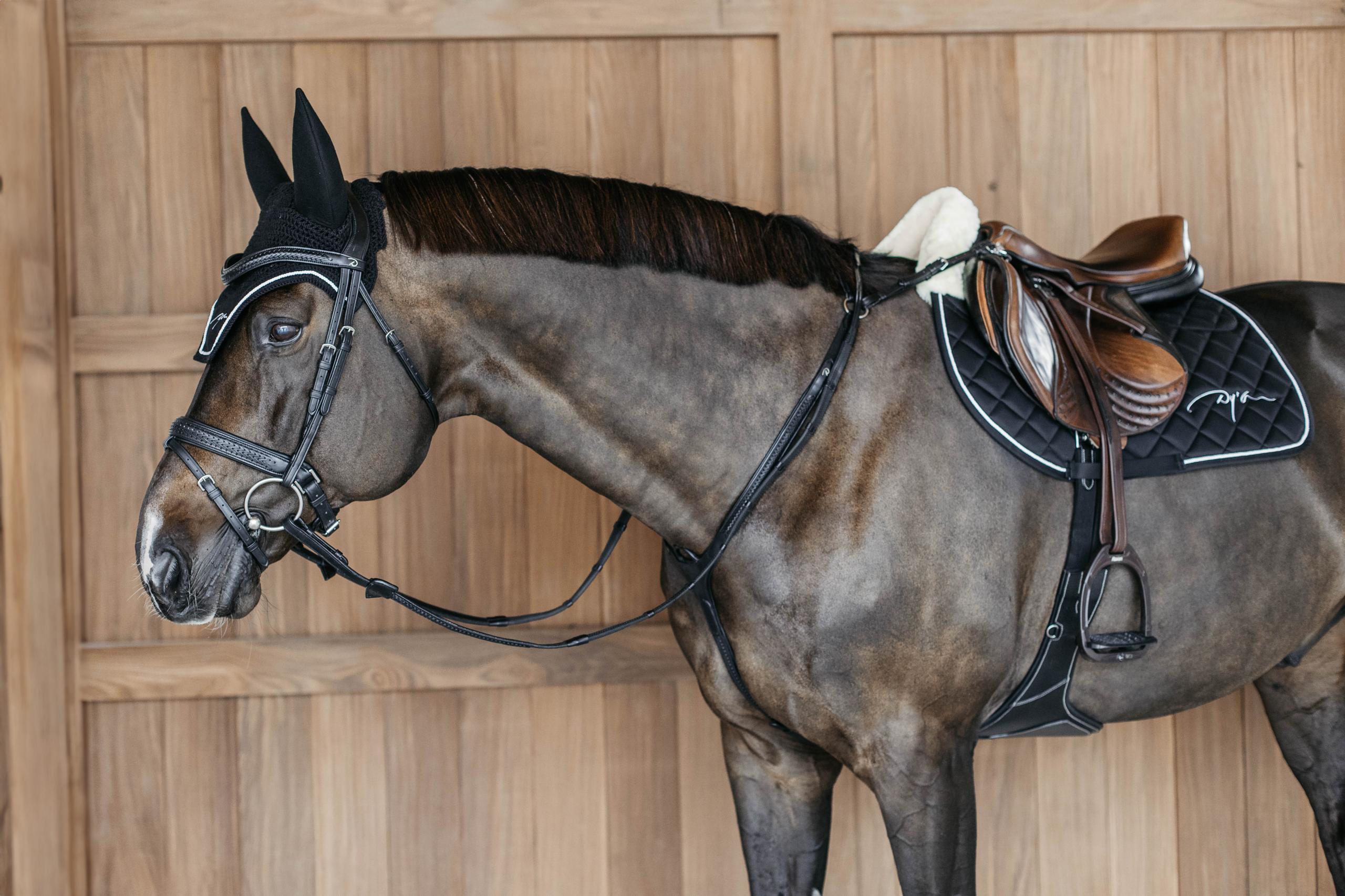 Cuffie per cavalli Dy'on Diamond 2/3