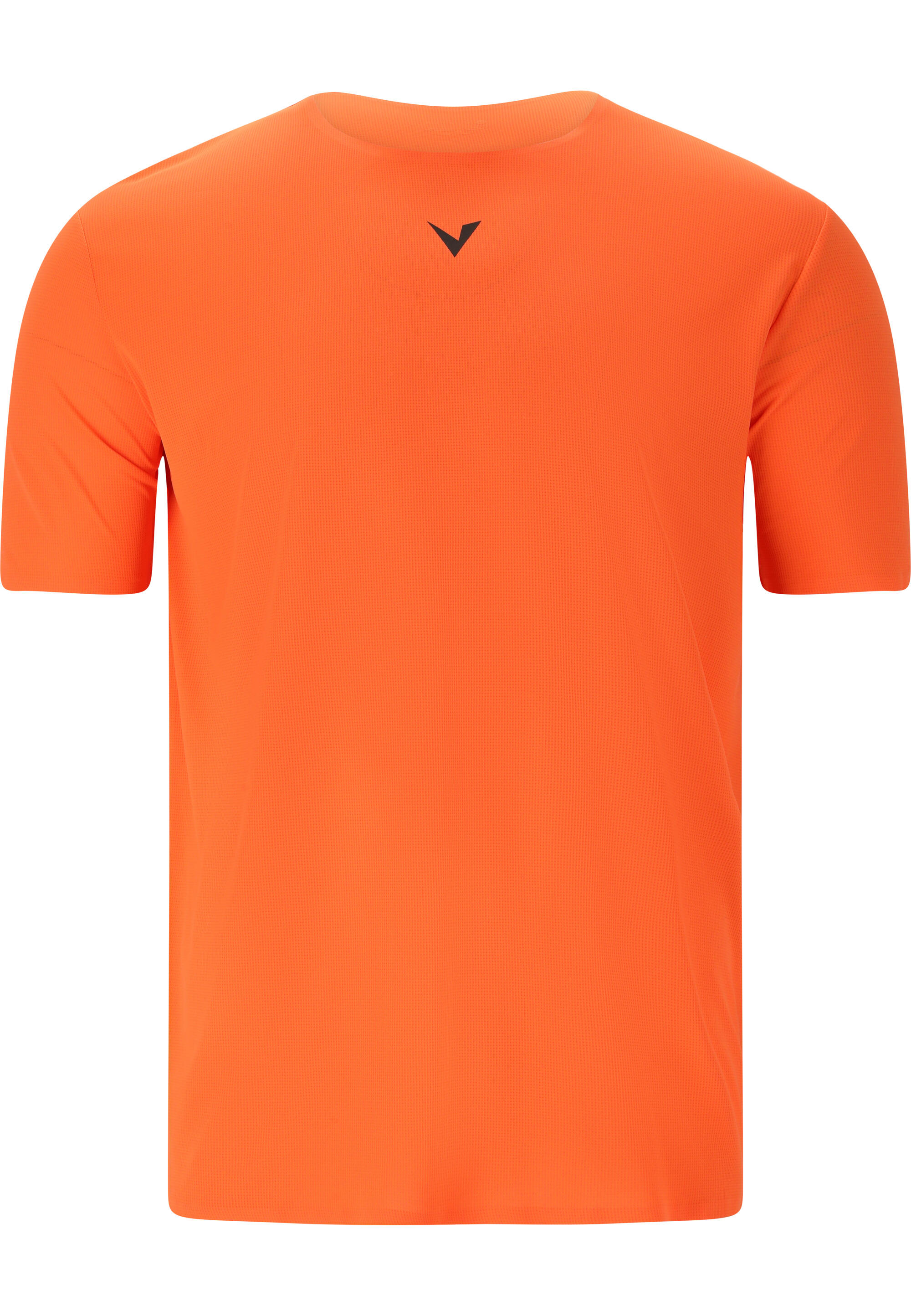 VIRTUS picture