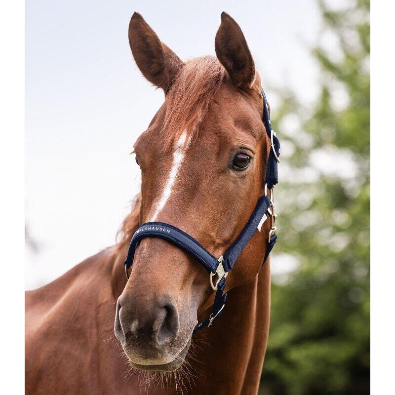 Licol pour cheval Waldhausen Atheltic 3/3