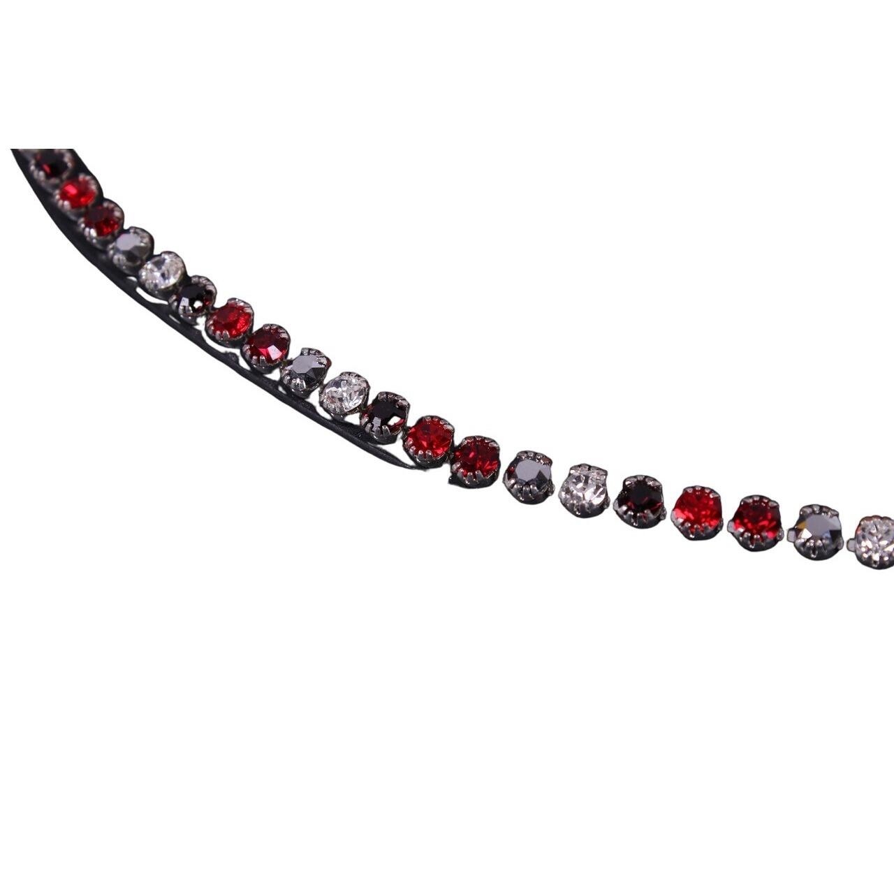 PRESTEQ Frontale per cavallo Presteq ShineBright