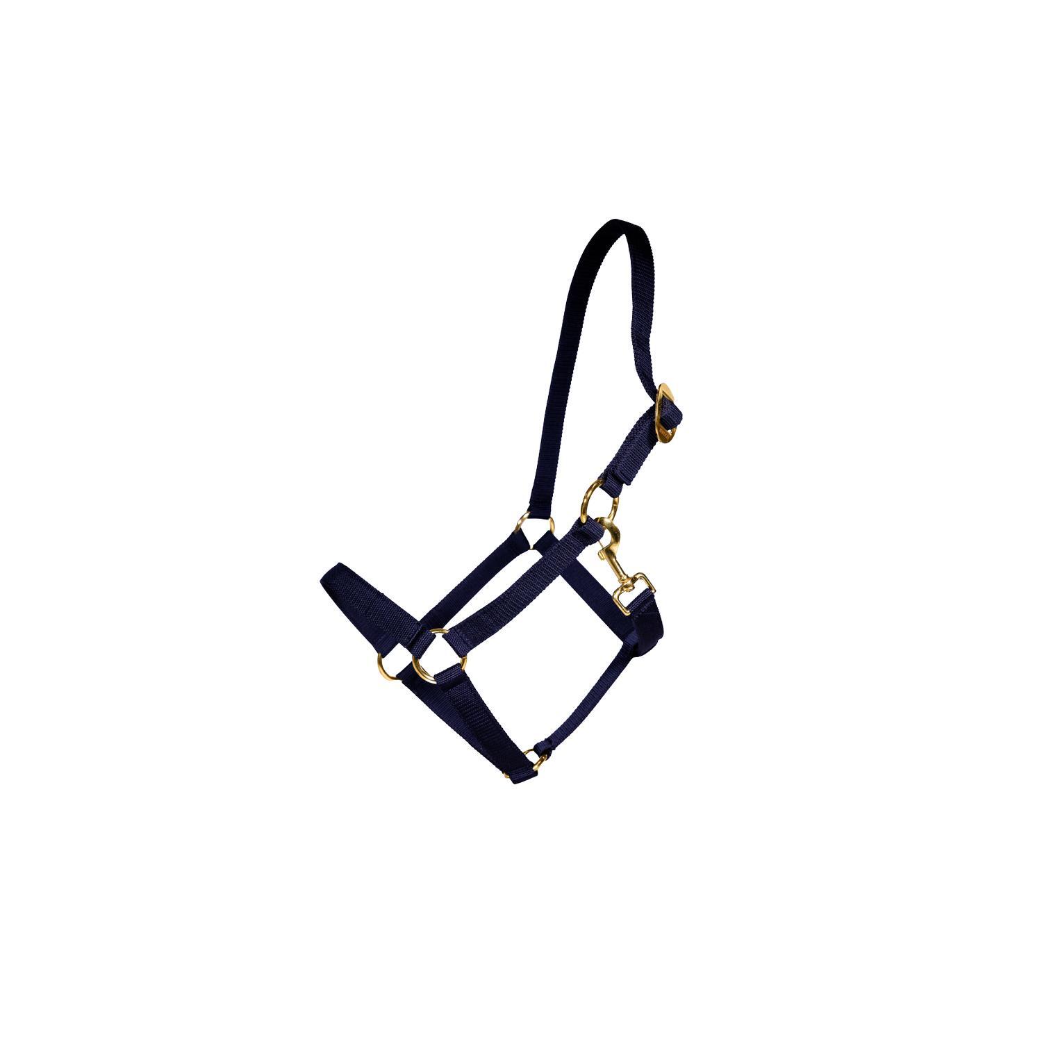 KENTUCKY HORSEWEAR Halster COB - Marineblauw - Nylon