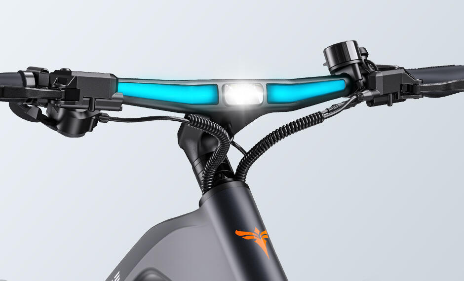 ENGWE-N1 PRO bici elettrica urbana lunga autonomia 7/12