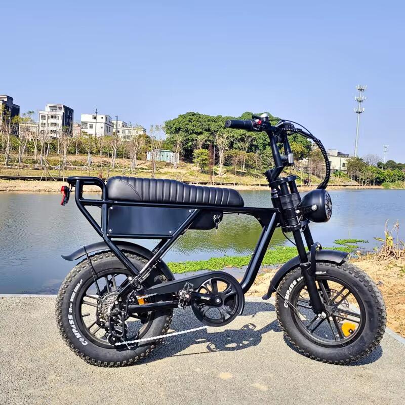 Ouxi C63 E-bike, 250Watt motorvermogen, topsnelheid 25 km/u, 20 inch banden 3/3