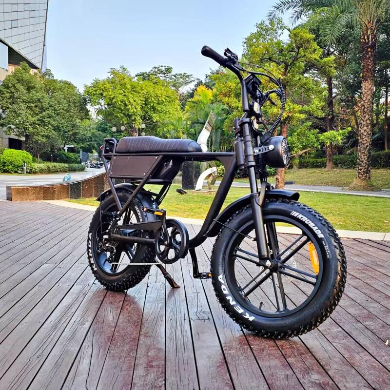 Ouxi C63 E-bike, 250Watt motorvermogen, topsnelheid 25 km/u, 20 inch banden 2/3