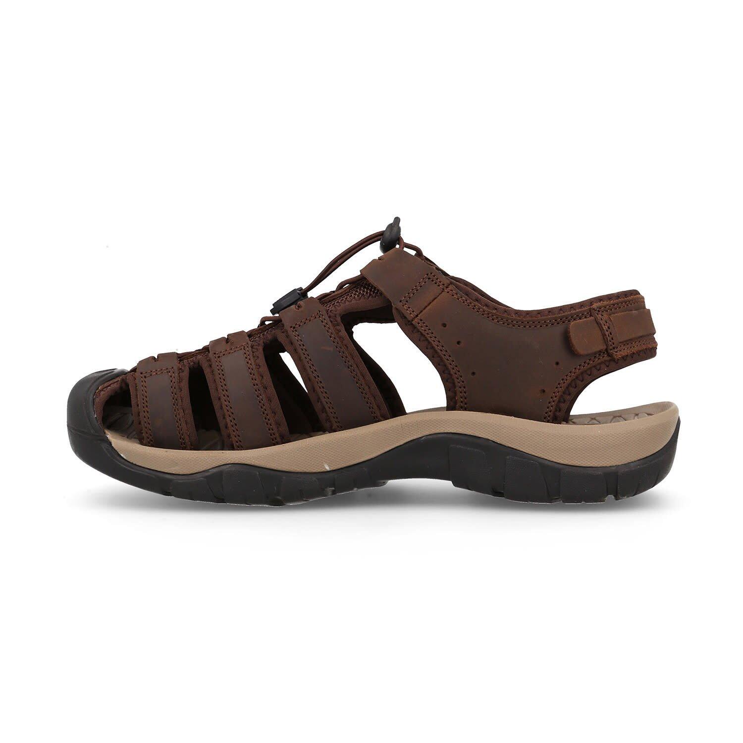 PAREDES Ayuelas  - Brown 2/5