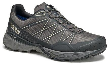 Asolo Tahoe Gore-Tex Wanderschuhe Grau