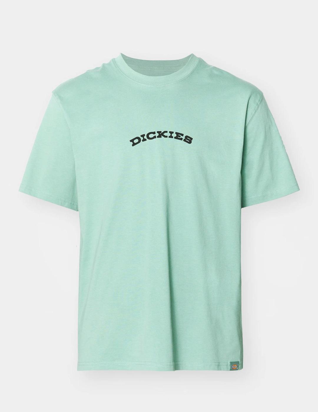 T-shirt met korte mouwen Dickies model DK0A4Z8PK361 voor mannen 5/6