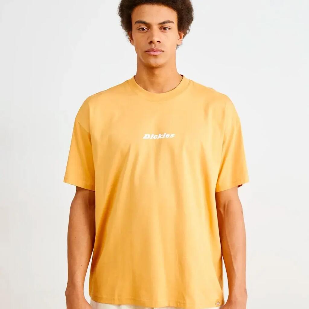 Dickies Men's Black T-shirt.