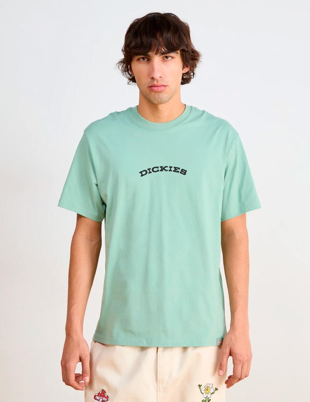 T-shirt met korte mouwen Dickies model DK0A4Z8PK361 voor mannen 3/6