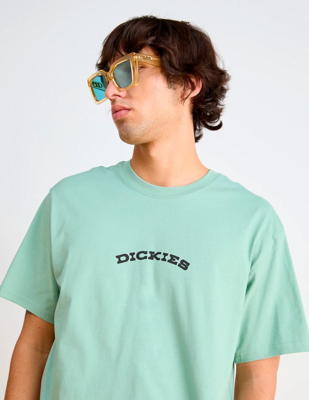 T-shirt met korte mouwen Dickies model DK0A4Z8PK361 voor mannen 4/6