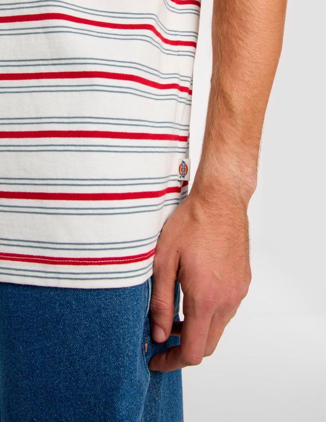 Maglietta Dickies Modello Lewistown Stripe Ss Te Colore Bianco 5/7