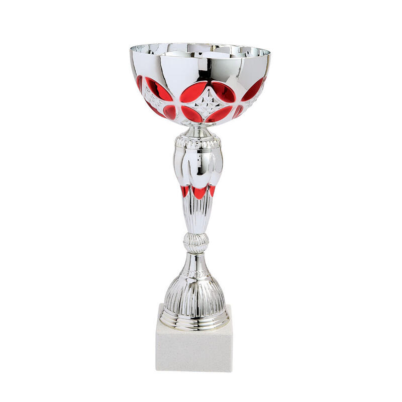 Lot de 6 coupes Trophées des vainqueurs