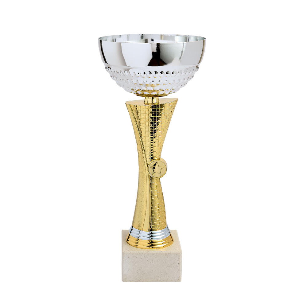 Symbole Du Vainqueur Du Trophée En Silhouette Couleur Noire Seulement 925376 73876