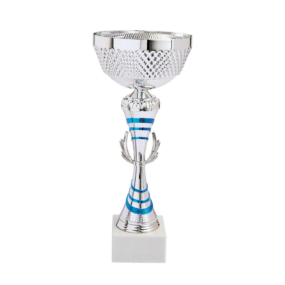 Lot de 6 coupes Trophées des vainqueurs 3/5