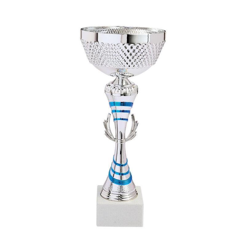 Lot de 6 coupes Trophées des vainqueurs