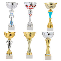 Lot de 6 coupes Trophées des vainqueurs