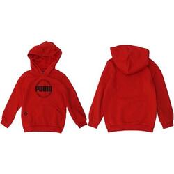 Sweat à capuche Puma DCT Hoodie pour enfants