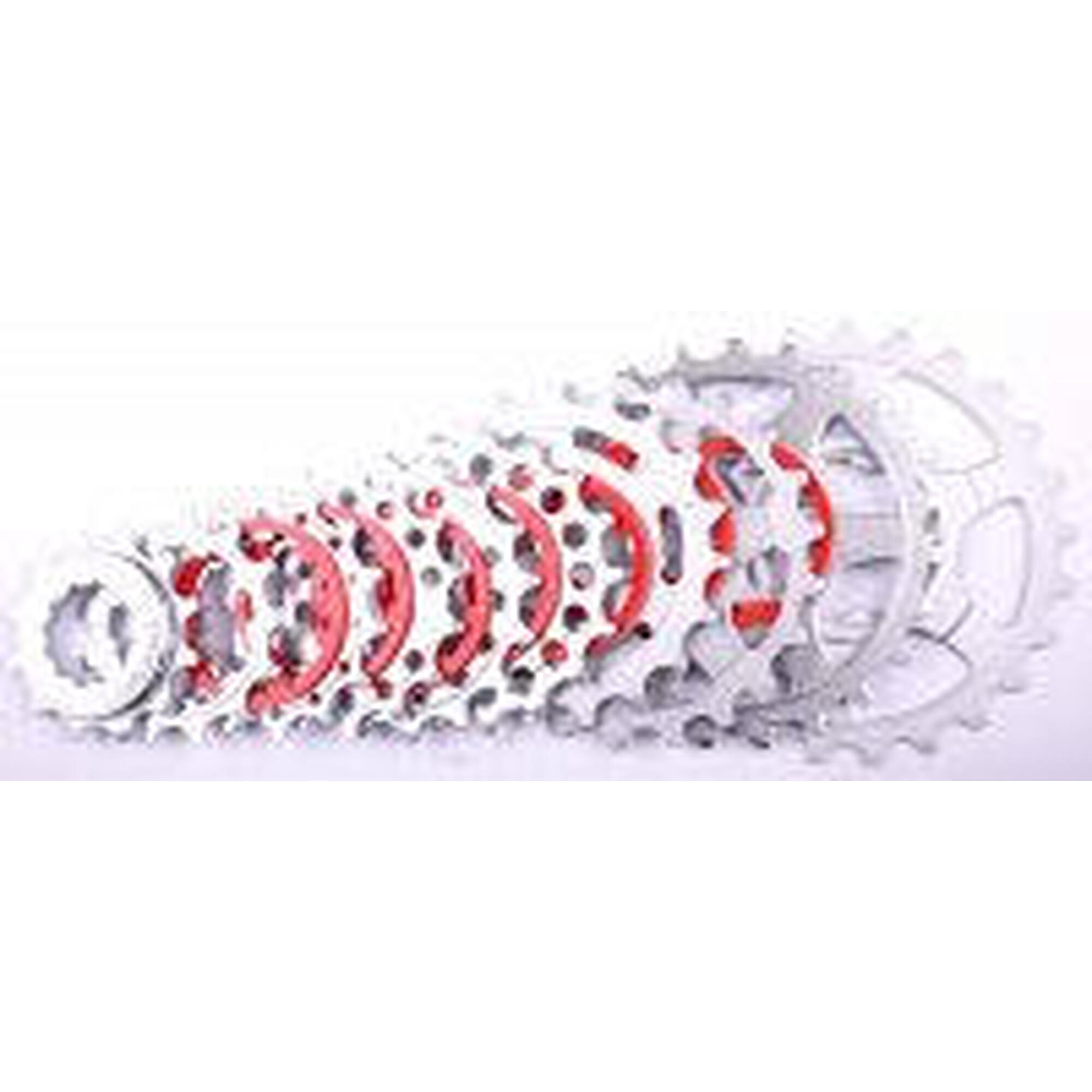 Miche - Pignon Miche Shimano 10v Depart 12d - Pignon - Gris - No Size - Decathlon