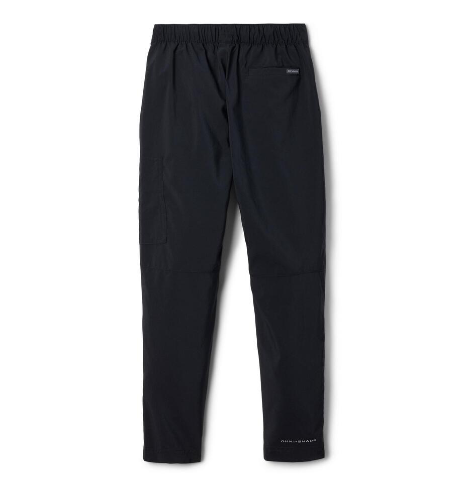 Spodnie Columbia Silver Ridge Utility Cargo