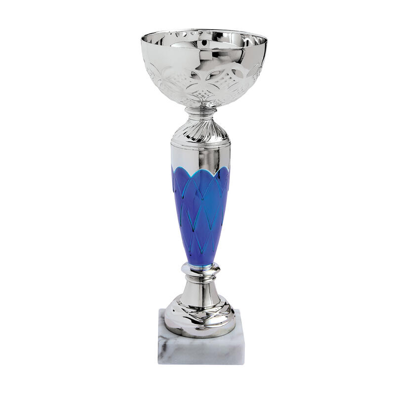Lot de 12 coupes Trophées des vainqueurs