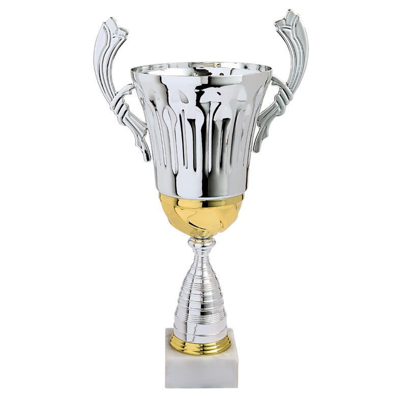 Lot de 3 coupes Trophées des vainqueurs