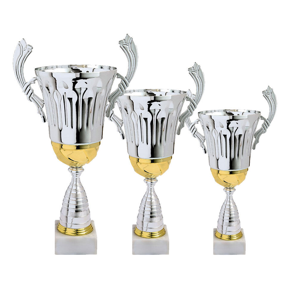 TROPHÉE VAINQUEURS picture