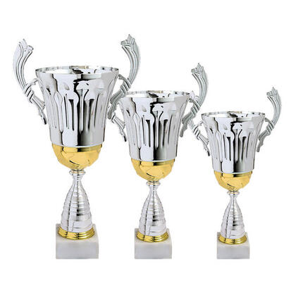 Lot de 3 coupes Trophées des vainqueurs