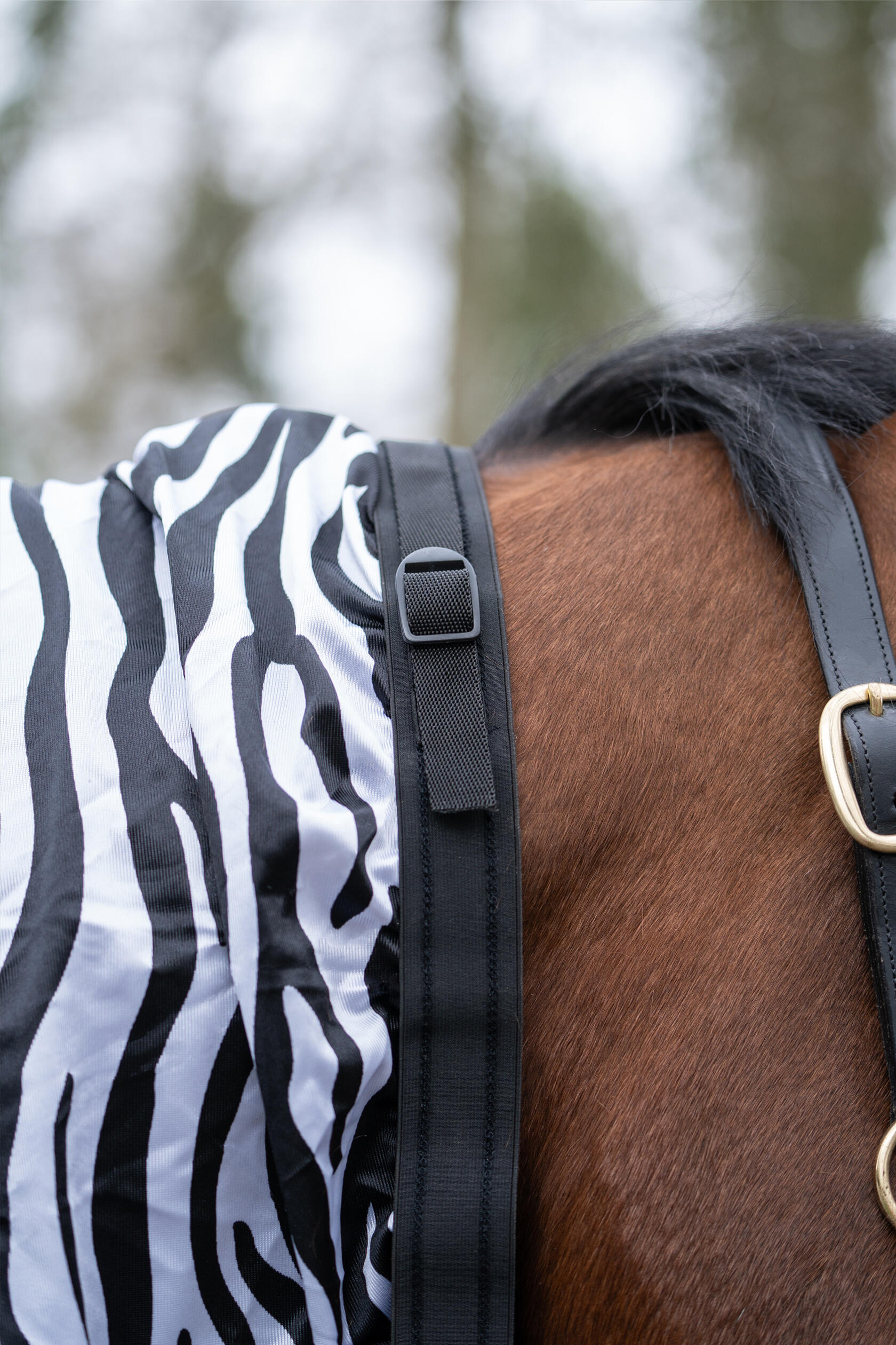 Dečka pro koně proti ekzému HKM Zebra 7/7