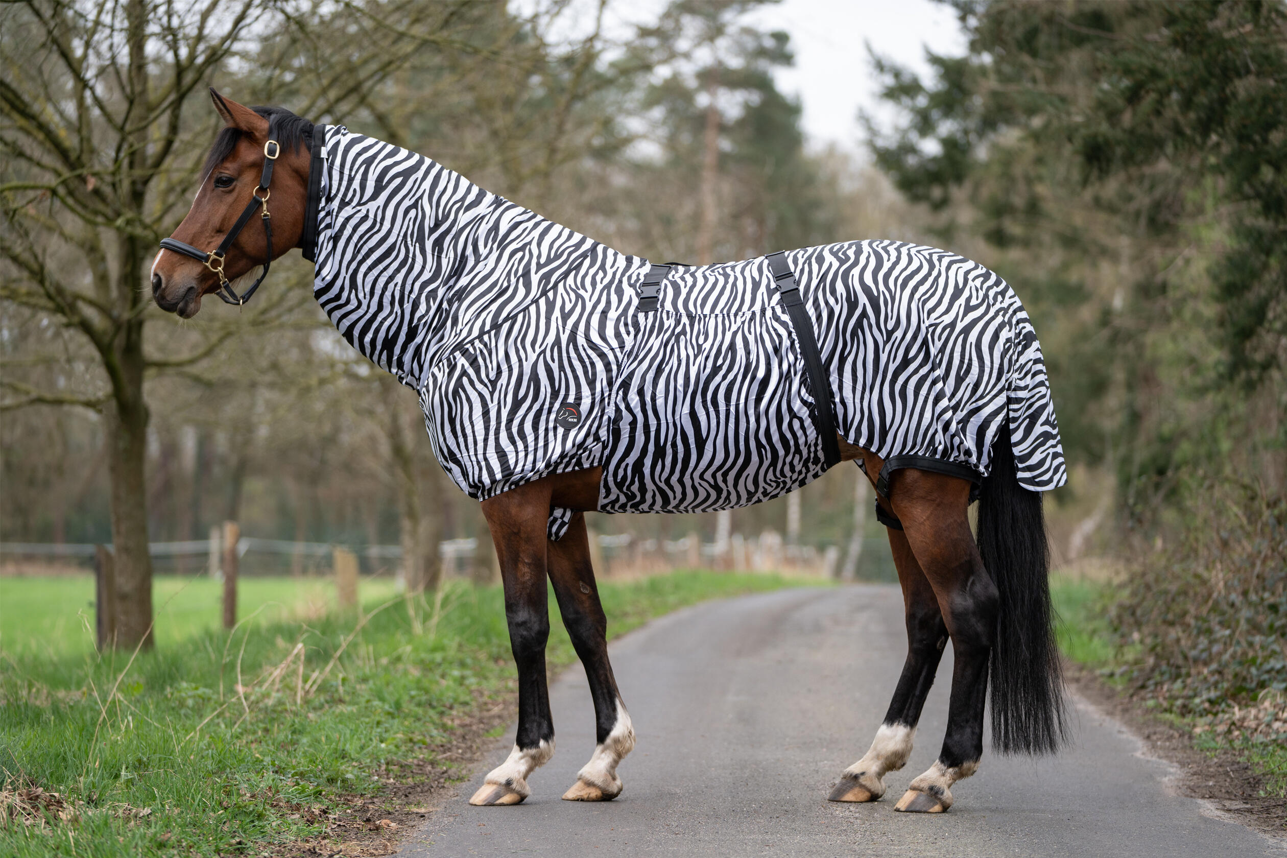 Dečka pro koně proti ekzému HKM Zebra 4/7