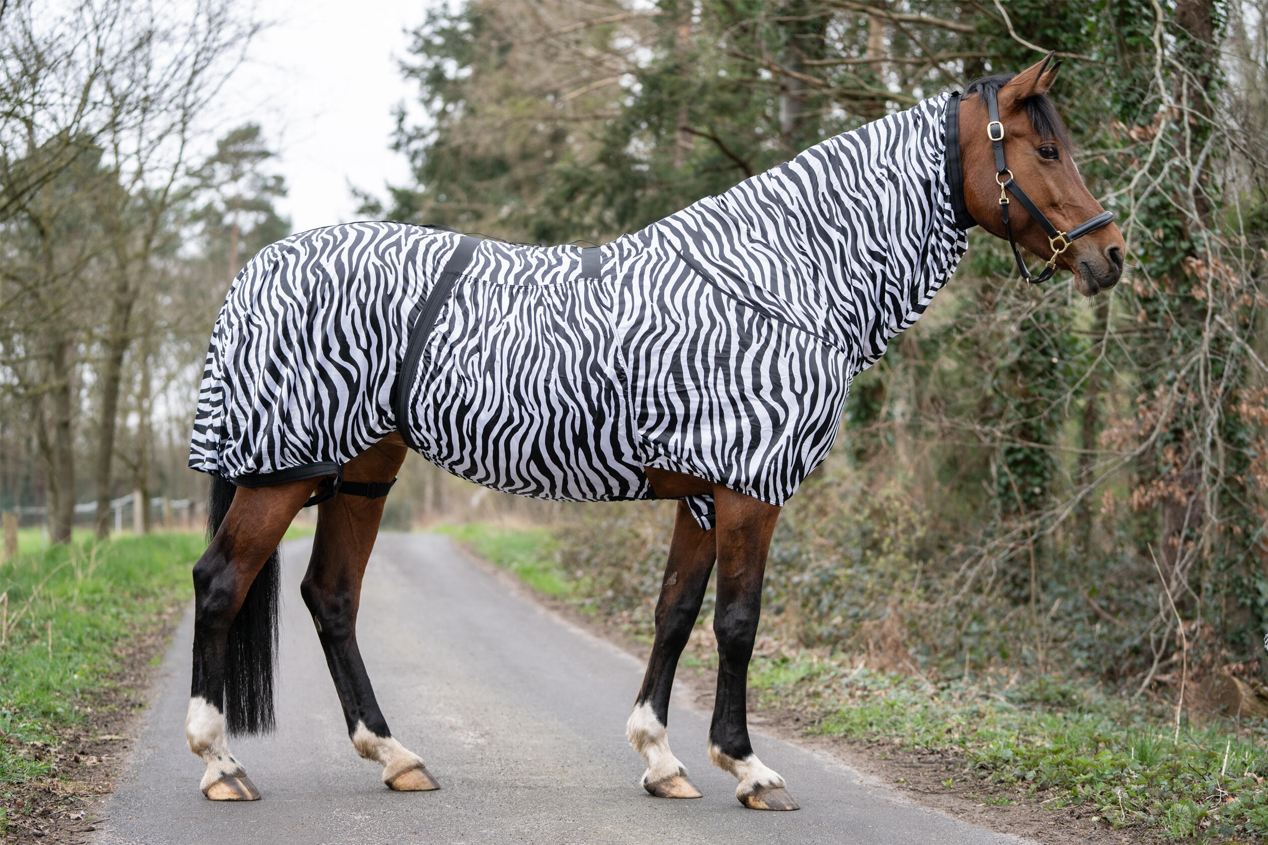 Dečka pro koně proti ekzému HKM Zebra 5/7